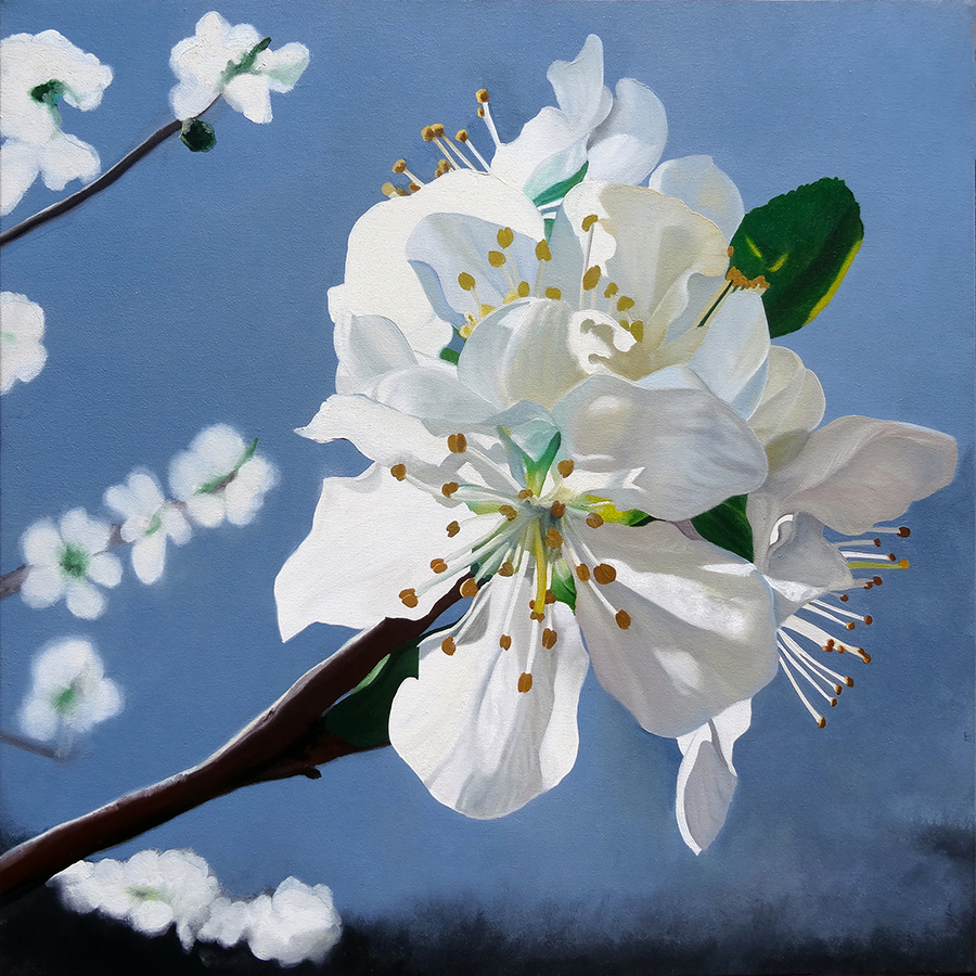 "Spring Blossoms" an original oil painting by Matthew Holden Bates